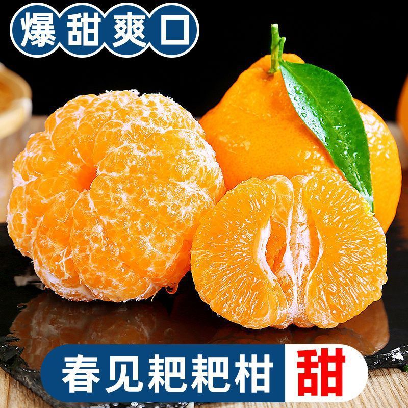 Sichuan Chunjian Tangerines, Crispy and Sweet Fresh Fruits, Seasonal Hand-Picked Ugly Oranges, Thin-Skinned Oranges for Delivery