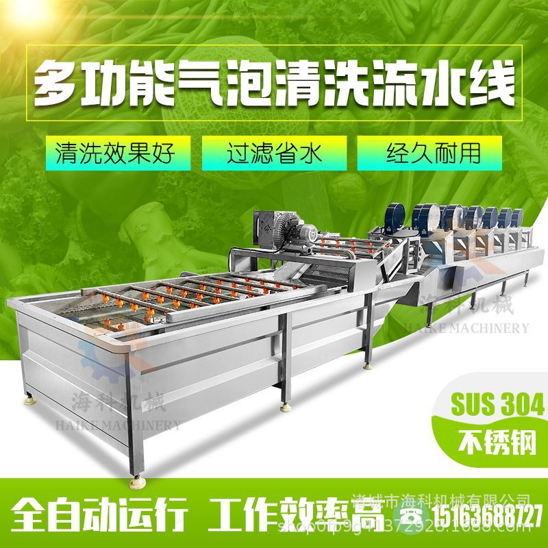大型蔬菜清洗机 全自动不锈钢气泡去杂机 多功能喷淋式去污洗菜机