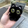 Black cat