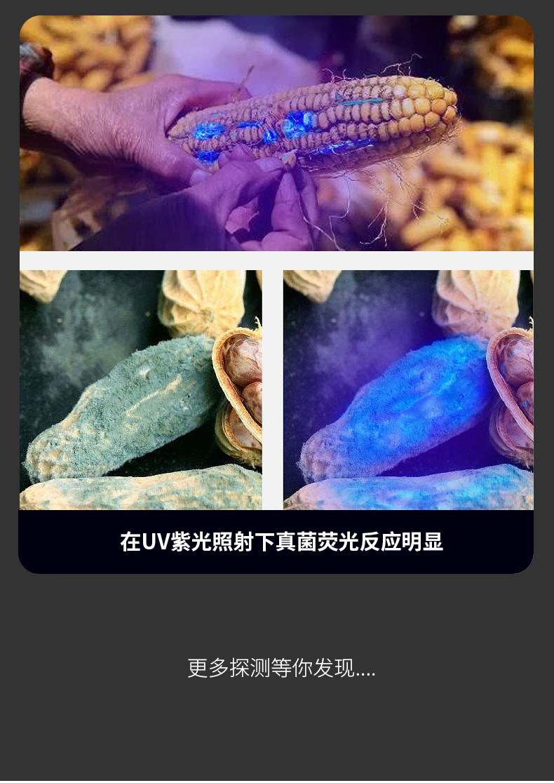 Uv Glue Curing Lamp 395 Purple Light Quick-Drying Ultraviolet Lamp 21Led Shadowless Glue Bonding Purple Light Flashlight