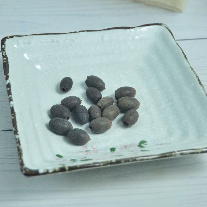 수경 식물 그릇 연꽃 씨앗 실내 꽃 좋은 아이들 관찰 식물 성장 심기 화분 식물 관찰 뿌리 새로운