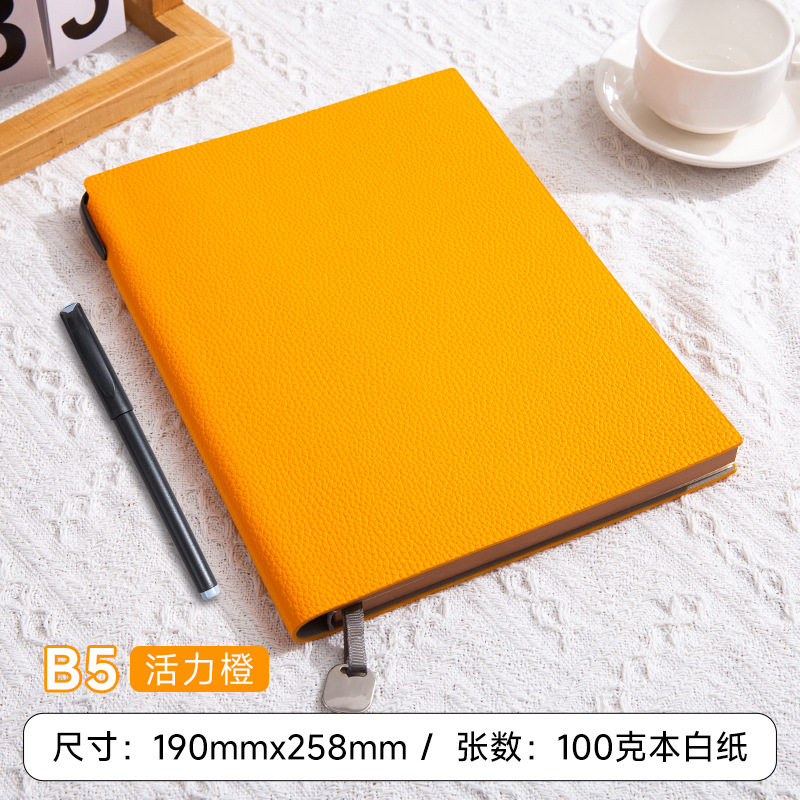 B5 바이브런트 오렌지/(단권)