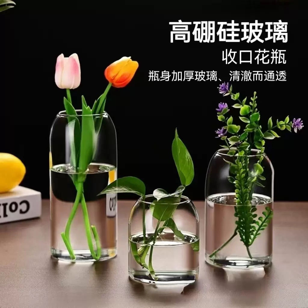 现代简约透明玻璃花瓶ins风水培鲜花绿植插花器摆件微景观生态瓶