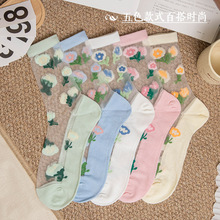 �ļ����z�mŮ��ˇ���䲣���z���m�޵׿��z�m��ϵ�������ˮ���z�m