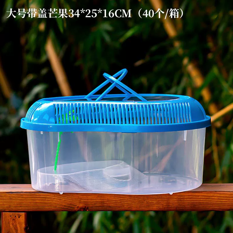 Transparent plastic pet box / small aquarium, portable ventilated tank, multiple sizes 10×7.5–39×28×17 cm