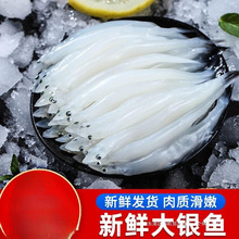 银鱼新鲜海鲜水产冷冻面条鱼白饭鱼鱼类辅食1000g包邮大银鱼机贸