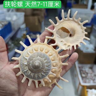 ��݆�� ϡ�~��ˮ�����쾰�b���[����̨�Ҿ�ϡ�жY��˱��ղ�