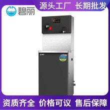 广东碧丽柜两头商用办公直饮水机 全自动进水饮水机不锈钢立式2Q5