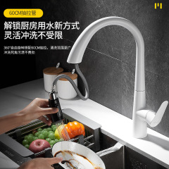 廚房抽拉水龍頭家用萬向白色全銅洗菜盆洗碗池冷熱抽拉式龍頭批發