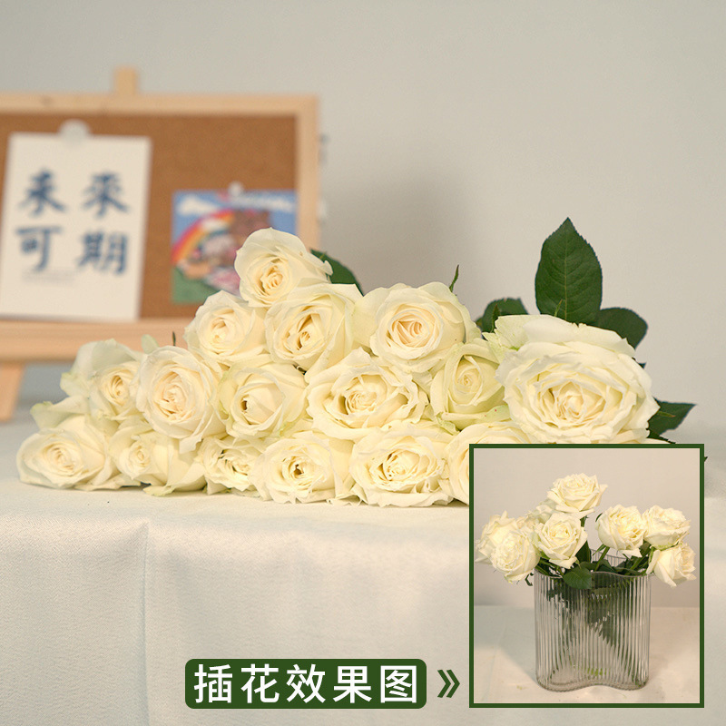 玫瑰花鲜花云南昆明基地批直发百合向日葵红豆家用鲜切水养插|undefined