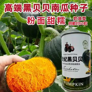 �����ؐؐ�ϹϷN���п�ï�A�߲˷N���Ѵ����＾���������ϹϷN��