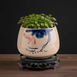 睡莲碗莲盆缸专用陶瓷大号土培植物 一叶莲荷花盆铜钱草水培器皿