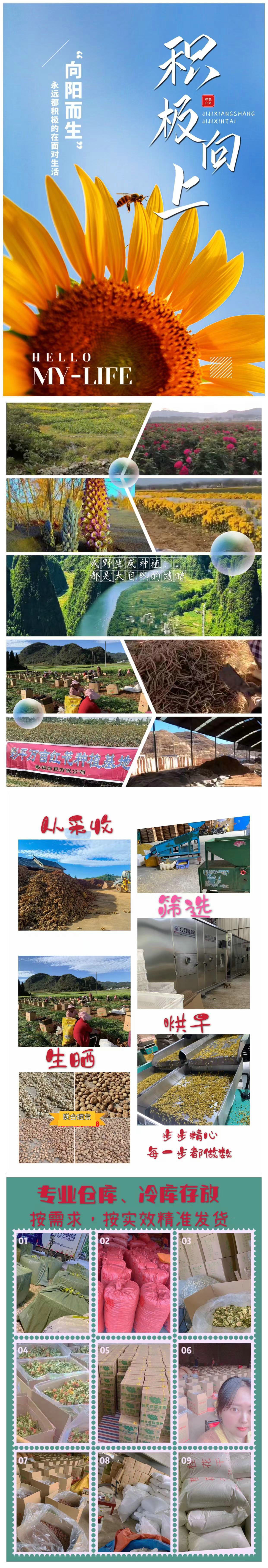 a4548ca1ebad0dcb6f0601f0a45af0