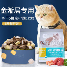 金渐层专用粮幼猫成猫十大冻干品牌英短蓝白猫专用猫粮排行榜10kg