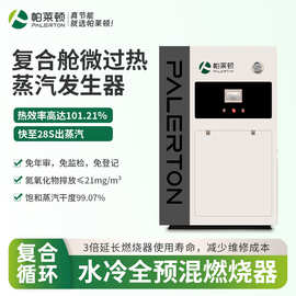 蒸汽发生器超低氮燃气2吨3吨4吨服装厂洗涤印染熨烫食品蒸汽锅炉