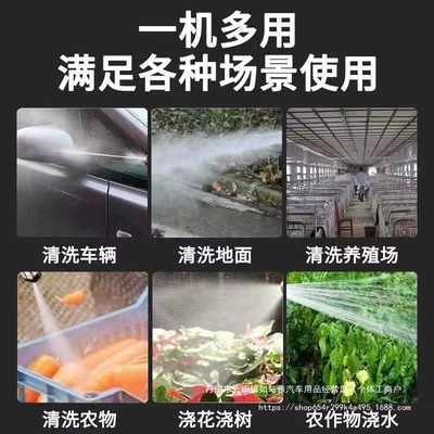 rechargeable lithium car wash wholesale: Portable car washer