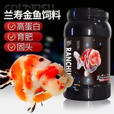 Ranchu feed Goldfish Dedicated High protein Gilt butterfly grain Sink to the bottom Sinking currency Fish Food