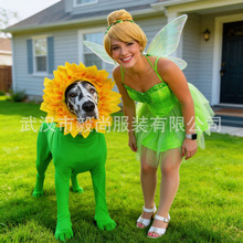 �羳���Ncos���bɭ�־��`�����ӹ�����ʹȹ�f�}����g��ɫ���ݷ�