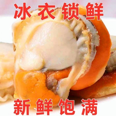 Scallop meat fresh Scallops Freezing Scallops Jellied meat Garlic Shellfish Freezing Seafood Scallop fresh  Cross border Electricity supplier