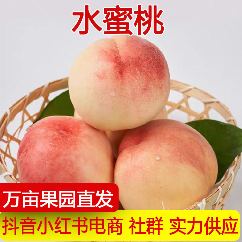 Directly Shipped from the Place of Origin, Shaanxi Honey Peaches Are Fresh Fruits in Season, Crispy, Sweet, Juicy, Easy to Peel, and Soft Peaches. Available for Dropshipping