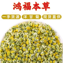 基地批发散装洋甘菊 直供花茶新货洋甘菊干花 另有洋甘菊花沫