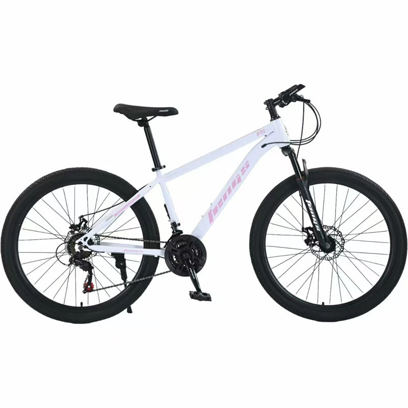 Mountain quality Phoenix, bike, bearing