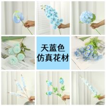 ����ˇ �{ɫϵ���滨��Y���Ļ�c�����廨�zӰ ��O���߼ٻ��b�