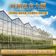 智能温室大棚 安装农用玻璃温室 厂家设计花卉园林智能温室大棚