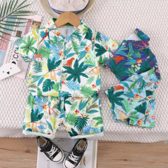 Boys' Set Beach Style Shirt Short Sleeve Summer Outfit Hawaiian Beach Vacation Clothes Trendy