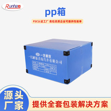 PP乤SlۯBпհ俹ĥoBwDPP