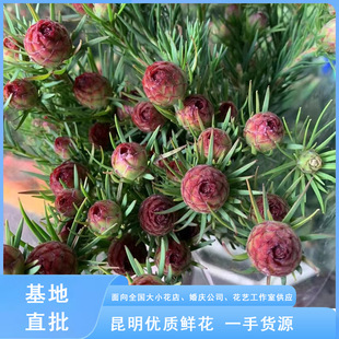 �����������r�л����W�L�b��ĔzӰ�����Ʒ����͏dƿ�廨