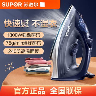 Electric Iron Household Steam Brush Handheld Iron Small Dormitory Student Portable Mini Ironing
