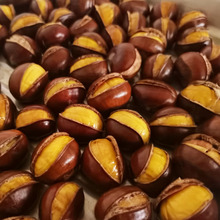 _ڼʳʸԹʳ_ЦŴqiju