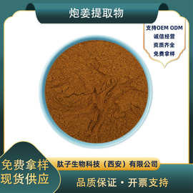 炮姜提取物黑姜提取物 水溶性炮姜粉 工厂现货直发炮姜提取物