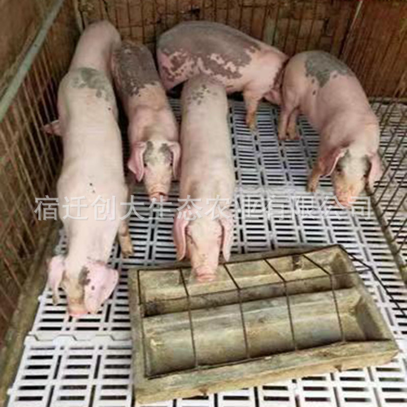 86d5f40a0588797e5988f5cf7e5d00