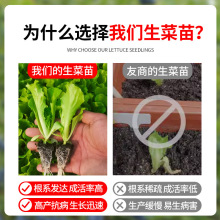 �������������玧��������_�Rˮ�ஔ���߮a�̨�Nֲ�߲�ֲ������