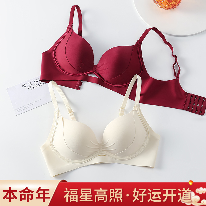 Red Lingerie for Women, Wedding Bride, Sexy Small Chest, Push-Up, Enhancing, Lifting, Side Breast Collection, Zodiac Year Bra