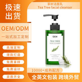 跨境外贸茶树洁面乳定制 清爽控油洗面奶贴牌加工facial cleanser