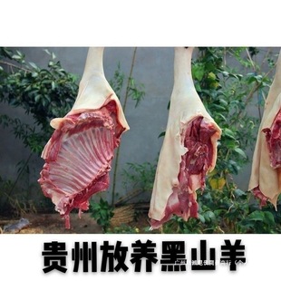 �F��������B��ɽ������ɢ�Bɽ����F�����r��Ƥ����������������