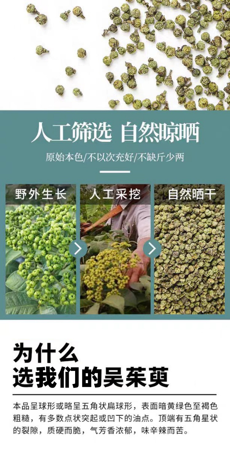 Wu Zhu Yu Powder (Evodia rutaecarpa) — Dried Food Herb Powder, Jiangxi New Crop key features