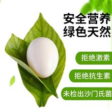 ���Ӎ��mɽ�r��ɢ�B���r���ӵ� �Ћ������oʳ�s�Zι�B 30ö���l