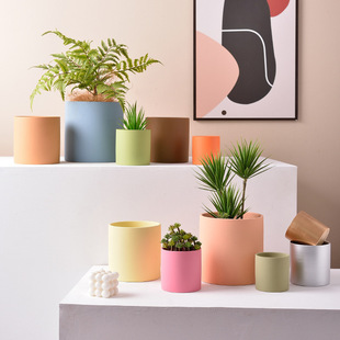 ֱͲ���W�LĪ�m��ɫ�մɻ��莧�бP�Gֲ�����r���G�}�����ƴ�̖��