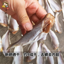 渔小鹏生晒切头小黄花鱼干台山特产划仔鱼广东咸鱼干海鲜水产干货
