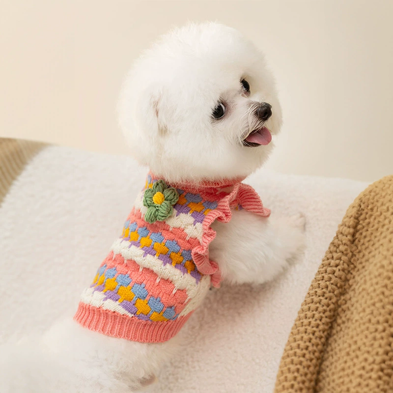 Свитер для щенков лучше, чем медведь зимой