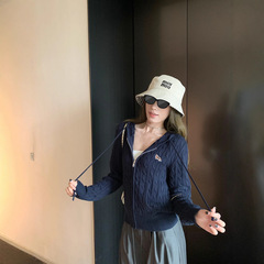Hhyii 学院假日 慵懒感刺绣连帽毛衣女秋设计感显瘦针织开衫上衣