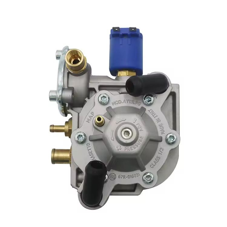 Lpg/Cng Car Oil to Gas At13 Conversion Kit Pressure Reducer Gas Pressure Regulator Gas Car Accessories