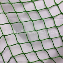 尼龙安全网无结绳尼龙网建筑安全网施工脚爬架防护网出口外贸