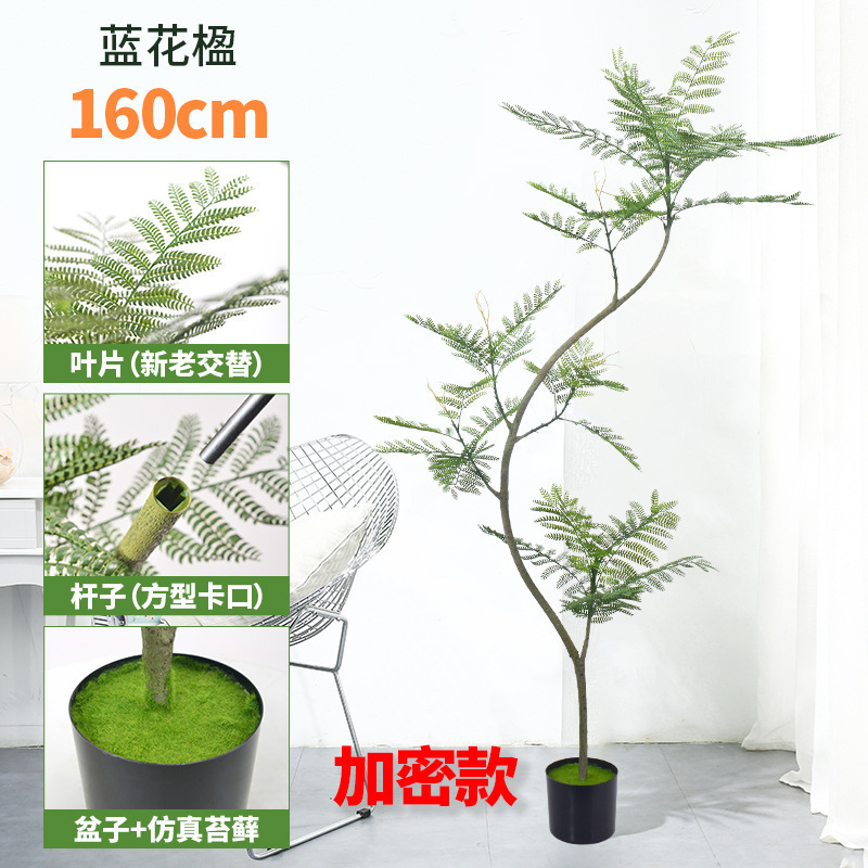 蓝花楹仿真绿植落地盆栽仿生植物摆件室内客厅沙发旁装饰盆景假树|undefined