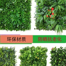 ֲ��Gֲ����ƺ�����ϻ���ȼ��ƺ�̈������G���b�����