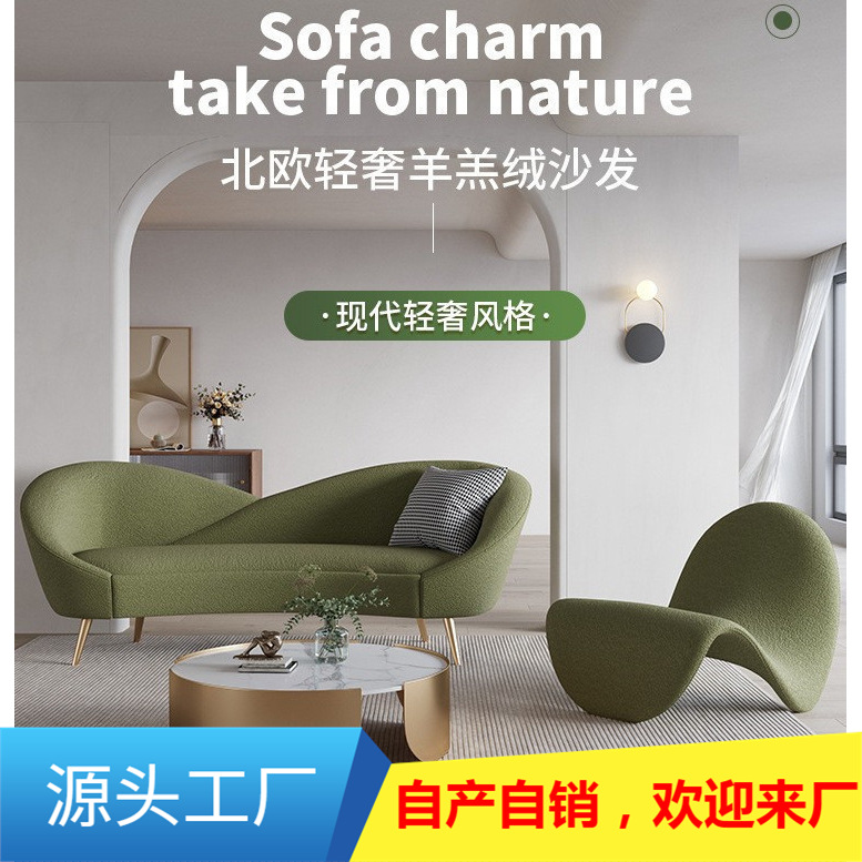 Nordic fabric sofa living room small apartment lambswool creative arc light luxury technology cloth designer double sofa